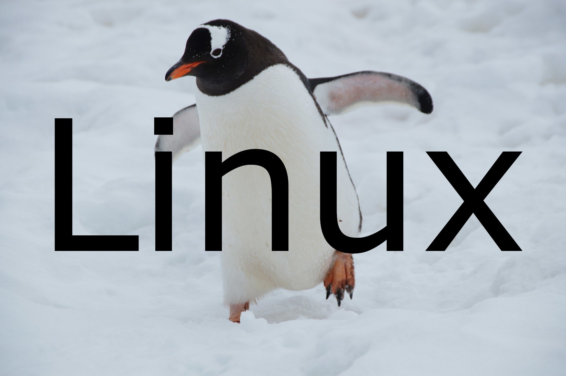 Linux内核6.12为卓越调度和实时操作做好准备